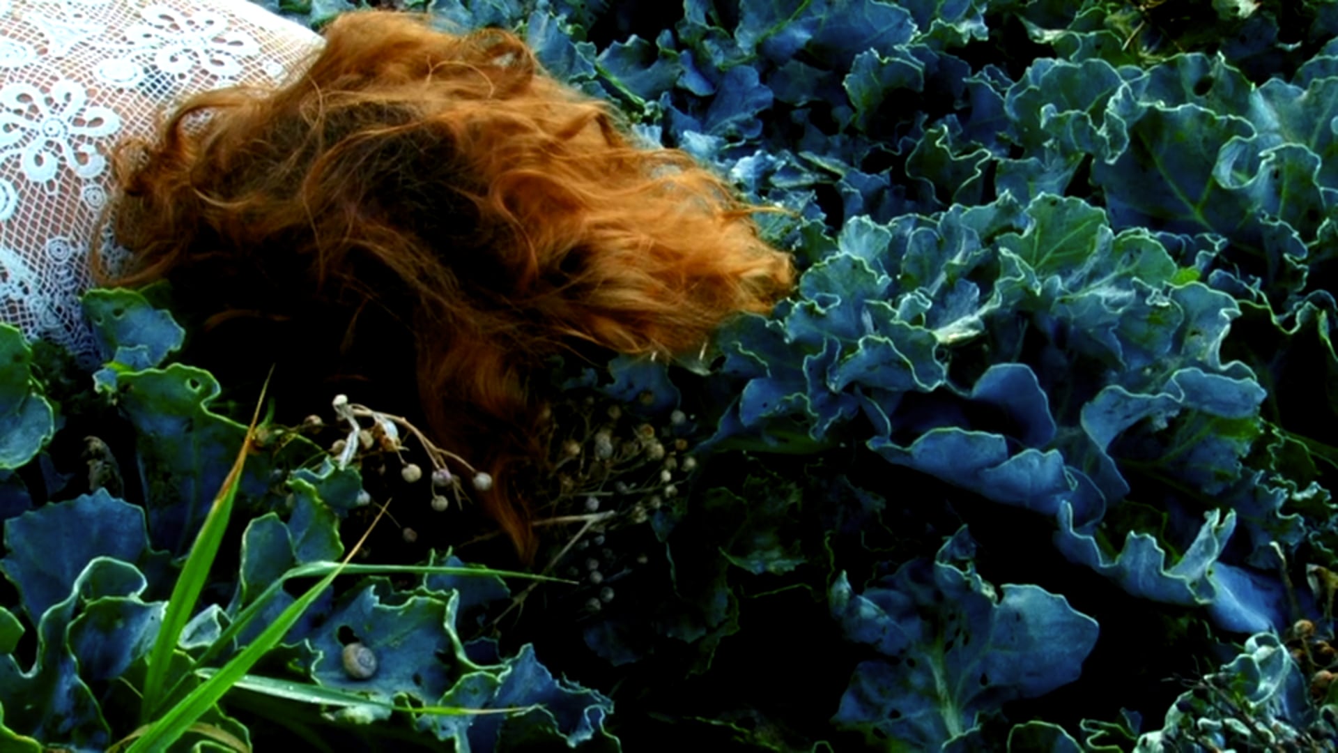 Plankton, a short film by Mieke Daneels