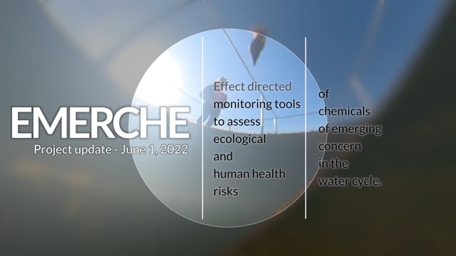 EMERCHE | NWO CEC