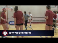 Preview Video #1