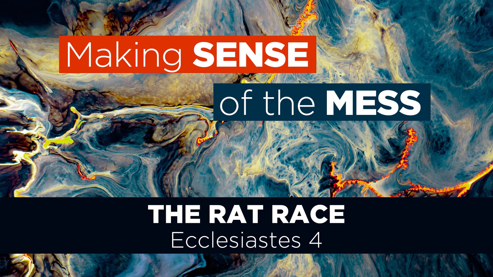 Making sense of the mess: The rat race on Vimeo