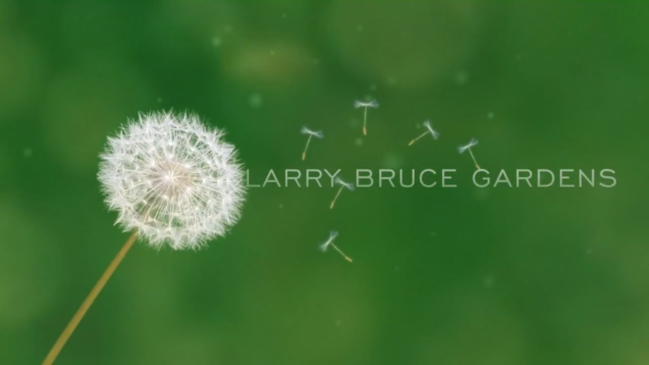 Larry Bruce Gardens Restaurant Kennard, Texas