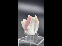 Bicolor Tourmaline on Quartz, 144g TR001