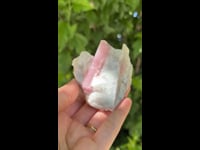 Bicolor Tourmaline on Quartz, 144g