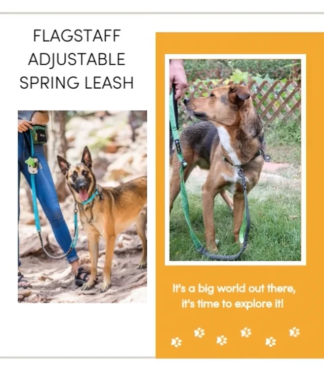 Spring leash outlet