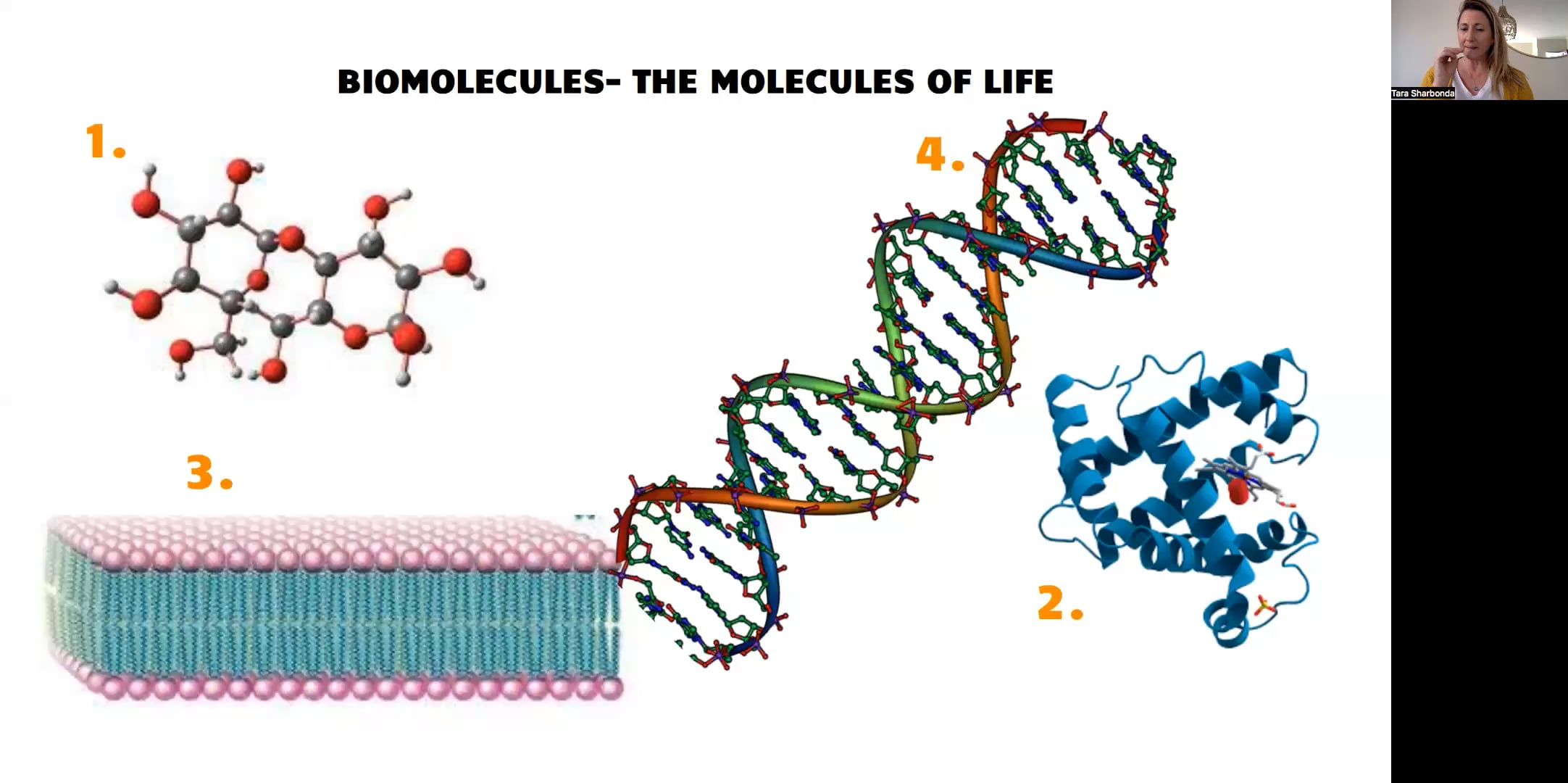 4. Biomolecules Video.mp4 on Vimeo