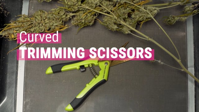 How Should You Clean Bud Trimming Scissors?, LTD Trimming, by james mary