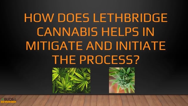 How Does Lethbridge Cannabis Helps In Mitigate And Initiate The Process?