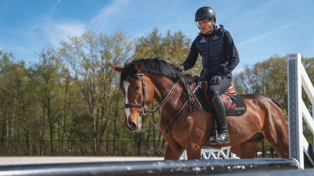 How Often Should You Jump Your Horses?