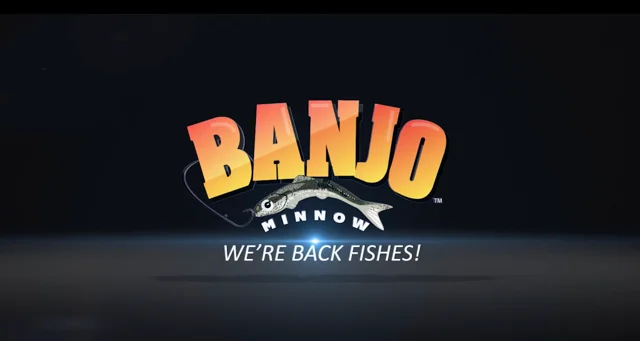 Banjo Minnow™ - New DRTV Campaign Launch - Script to Screen