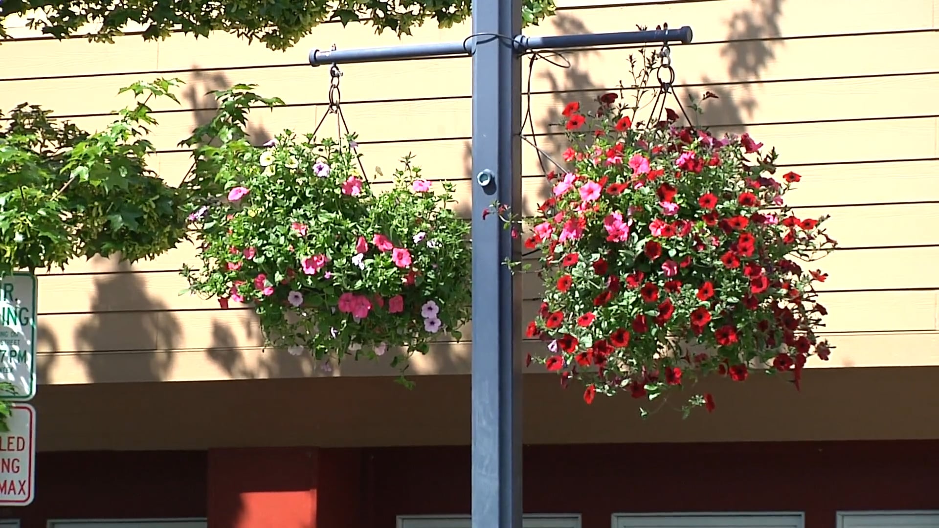 Inside Bremerton Hanging Flower Baskets on Vimeo