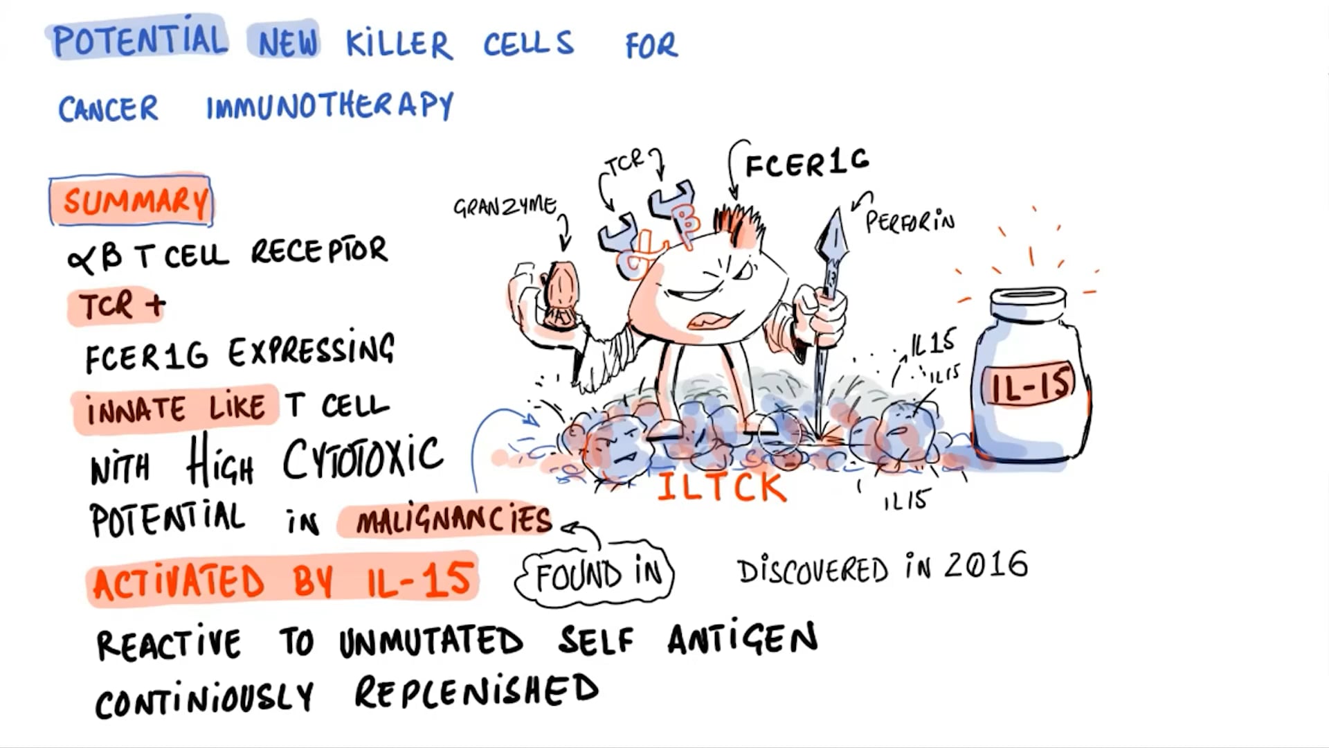 Potential New Killer Cells for Cancer Immunotherapy