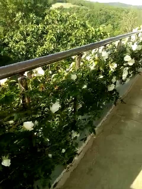 Müstakil Ev Tekirdağ TEKİRDAĞ MERKEZ SATILIK MÜSTAKİL EV on Vimeo