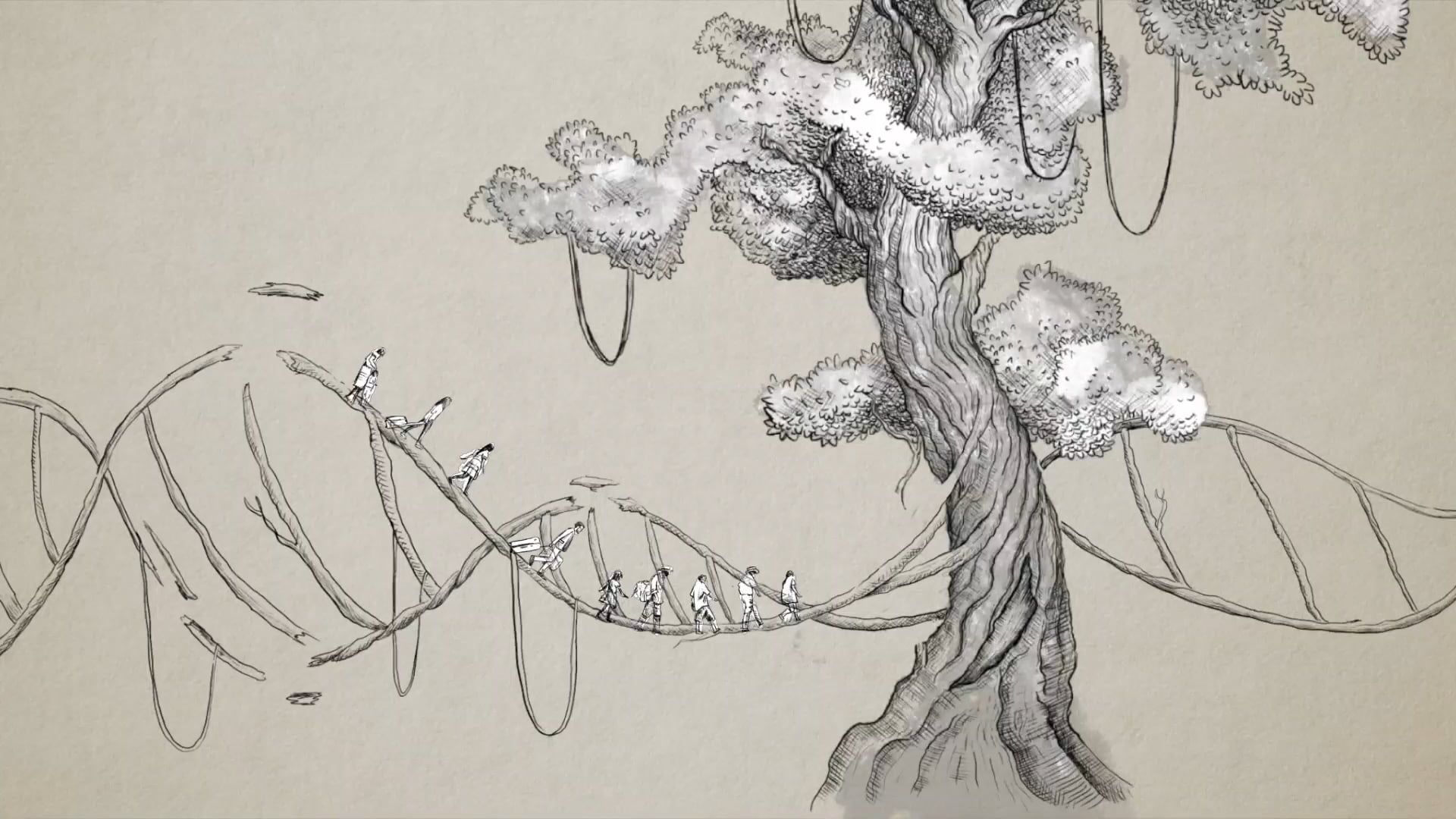 El silencio es el hijo del miedo .mp4