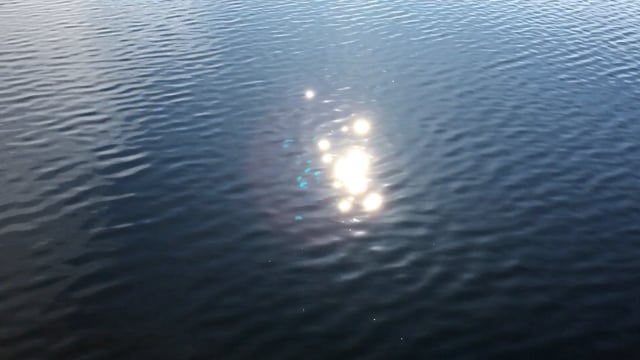Water, Sun, Sunlight. Free Stock Video - Pixabay