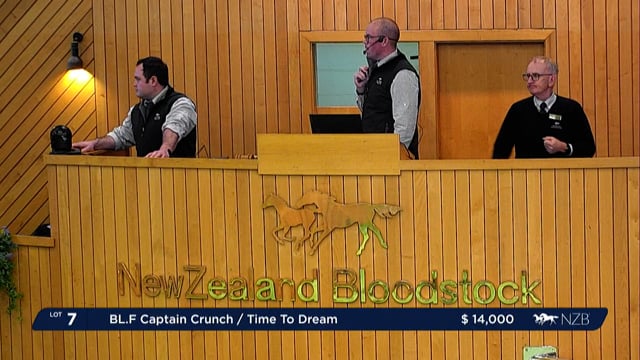 2022 Standardbred Weanling Sale - Lot 7 - Lot 14