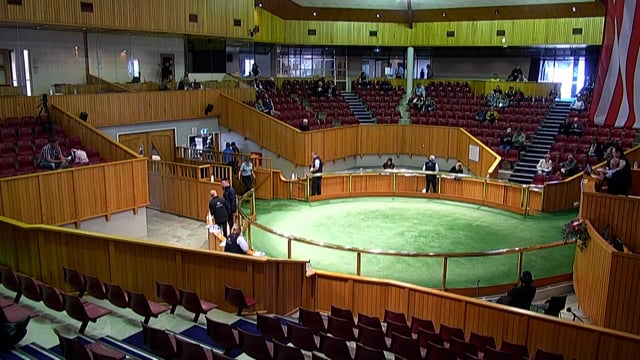 2022 Standardbred Weanling Sale - Lot 44 - Lot 52