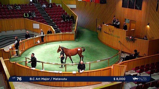 2022 Standardbred Weanling Sale - Lot 76 - Lot 85