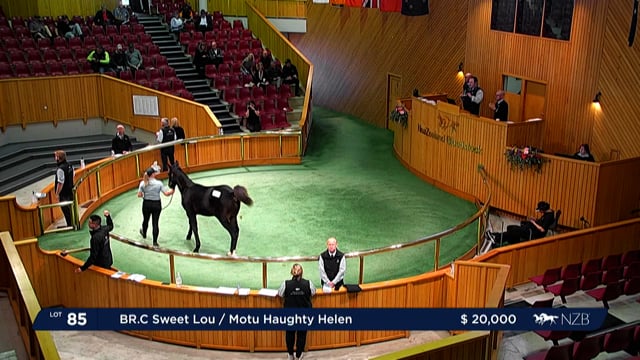 2022 Standardbred Weanling Sale - Lot 85 - Lot 92