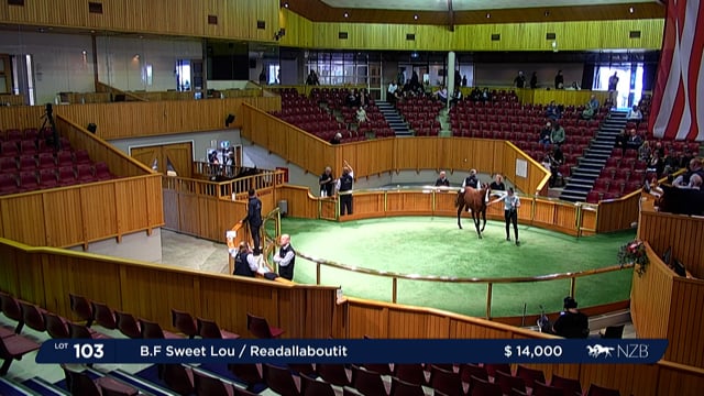 2022 Standardbred Weanling Sale - Lot 98 - Lot 104