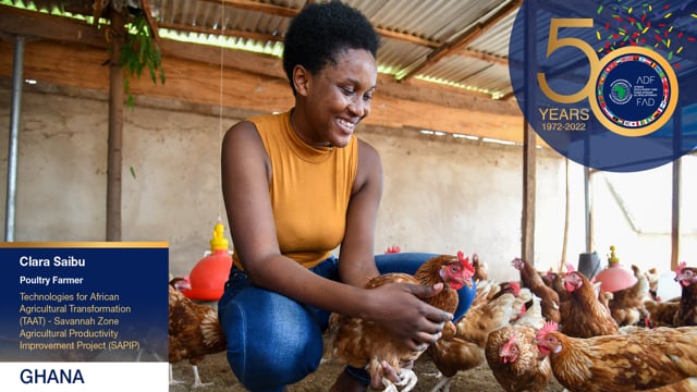Outside the classroom, Ghanaian student thrives as a poultry farmer |  African Development Bank - Building today, a better Africa tomorrow