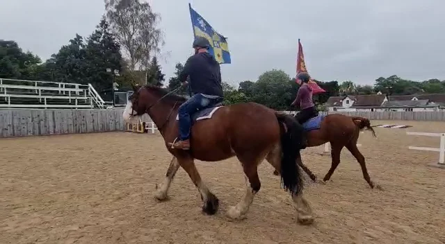 Horse riding on Vimeo