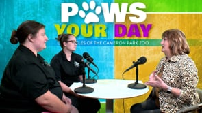 Paws Your Day May 25, 2022