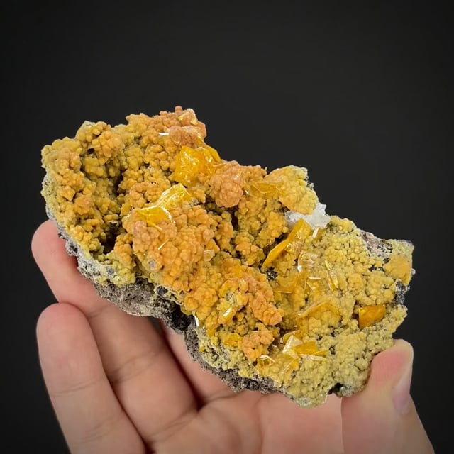 Wulfenite & Barite on Mimetite (RARE old combo) Cook Coll.