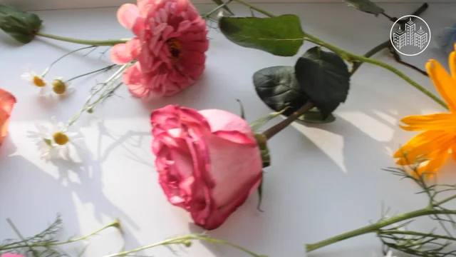 How to Create Pressed Flower Art – Summer Garden - Gardening4Joy