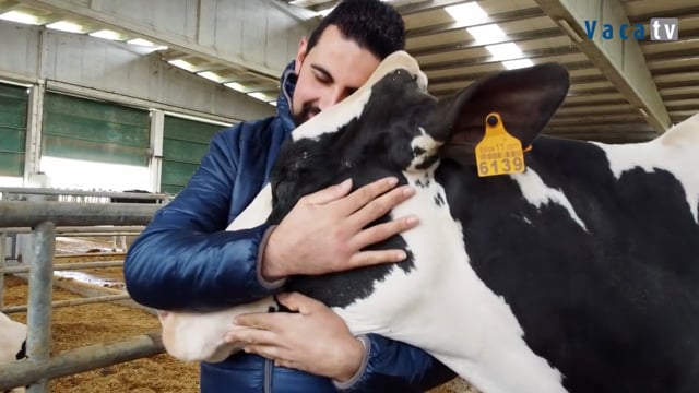 Entre bambolinas: amor, esforzo e mellora continua