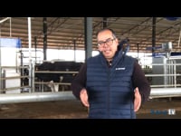 La robotización mejora el bienestar animal en Los Ruedos