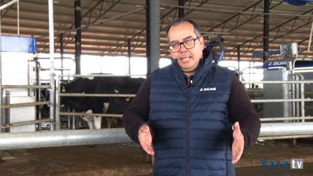 La robotización mejora el bienestar animal en Los Ruedos