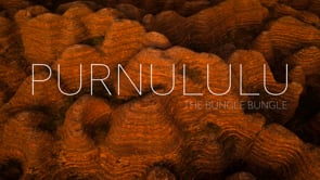 The Bungle Bungle | Aerial Photography