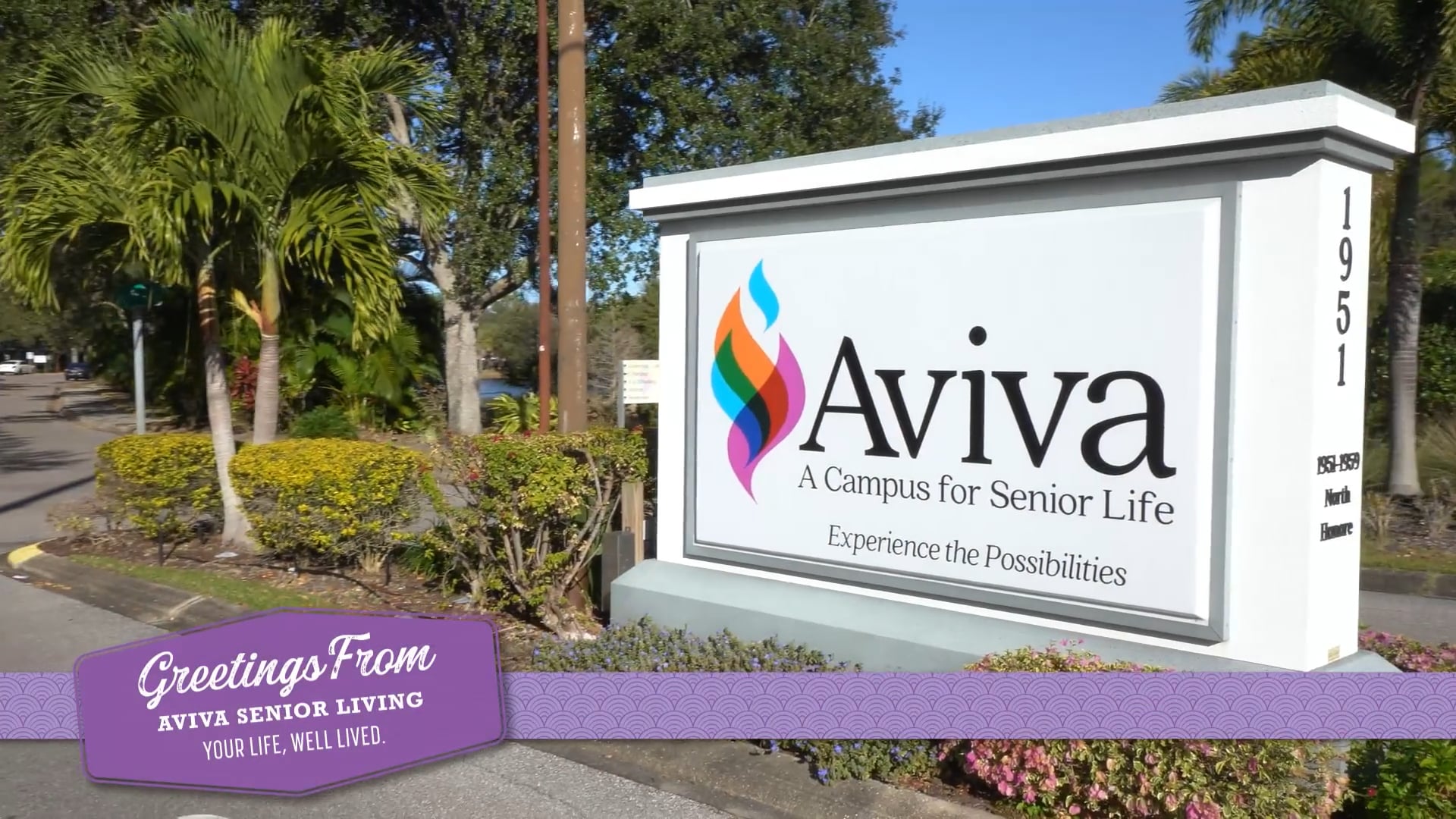 Continuum of Care (Aviva)