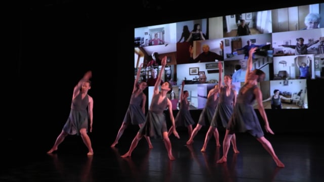"For Example" Concert Trailer