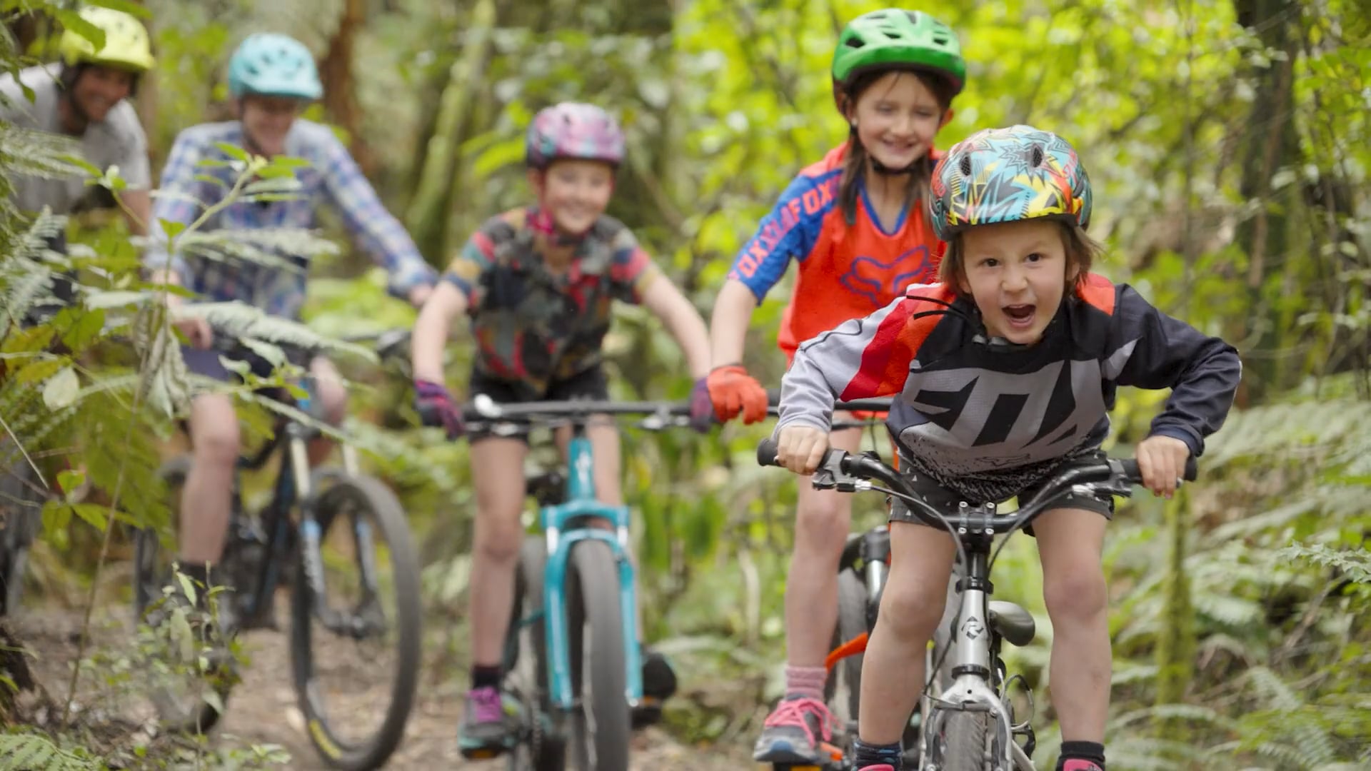 Whaka Forest Loop - Rotorua, NZ