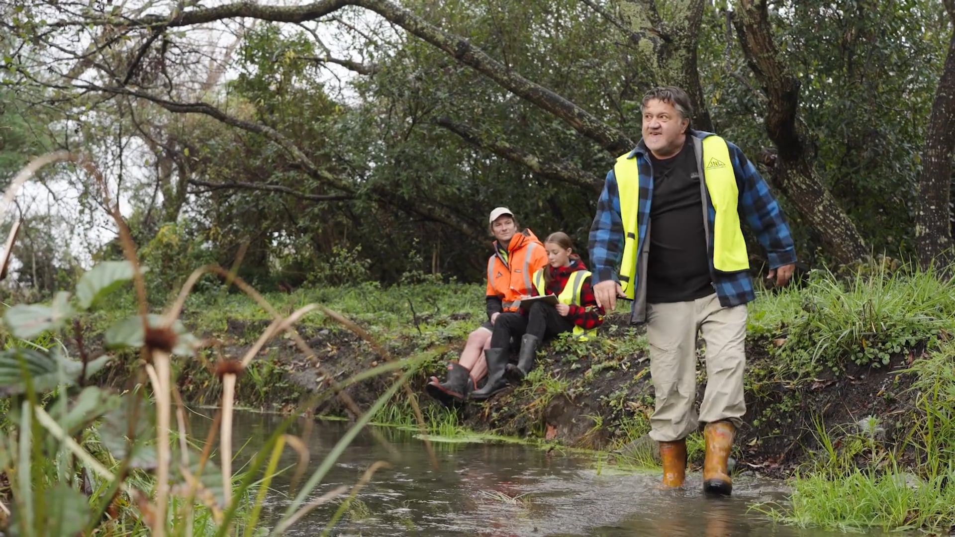 What is a Forester - Wood is Good