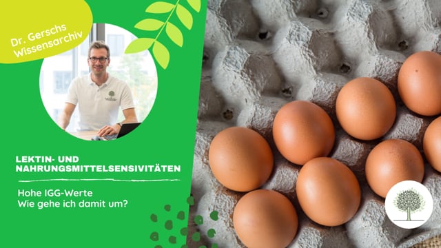 Hohe IgG-Werte auf Nahrungsmittel: Wie kann ich damit umgehen? 