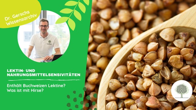 Enthält Buchweizen Lektine? Ist Hirse eine lektinfreie Alternative? 