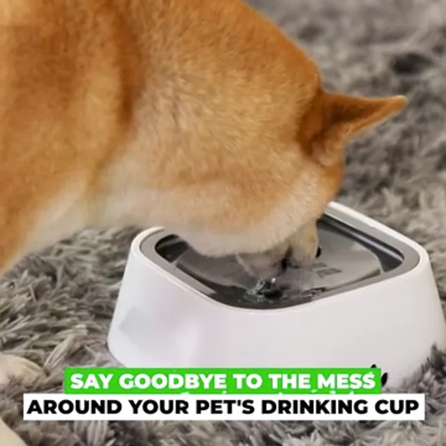 Say Goodbye to That Slimy Layer in Your Dog's Water Bowl!