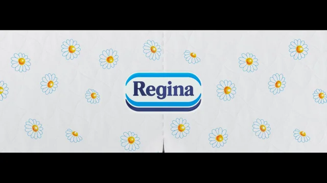 Una storia fatta di spot  Regina - Paper for People