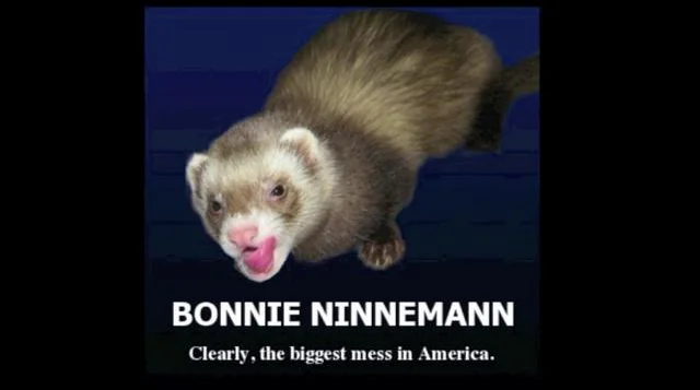 When ferrets get famous on Vimeo