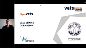 Caso clínico- hipotiroidismo felino