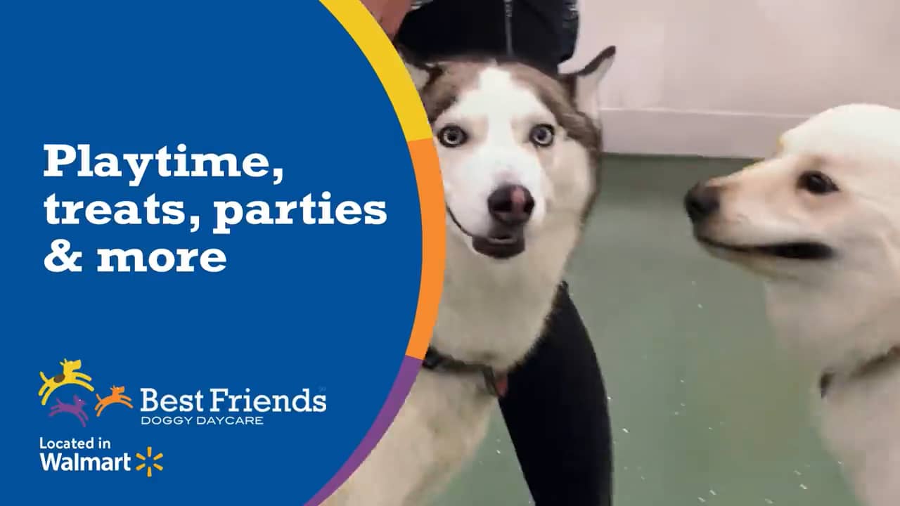 Best Friends Pet Hotel Now In Your Local Walmart (2) on Vimeo