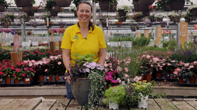 Container Gardening | A Planter Made for Sun AND Shade