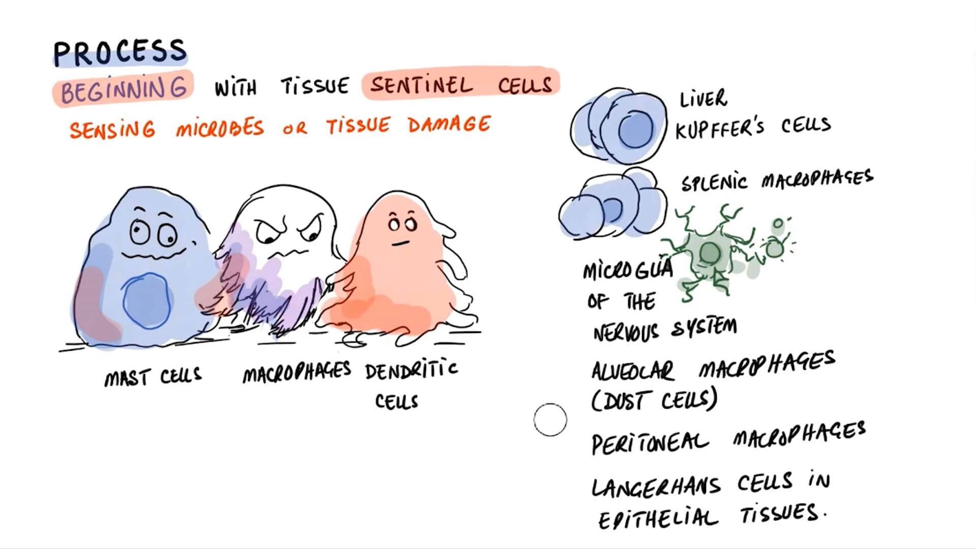 What Does Chronic Inflammatory State Mean (Lecture 1)