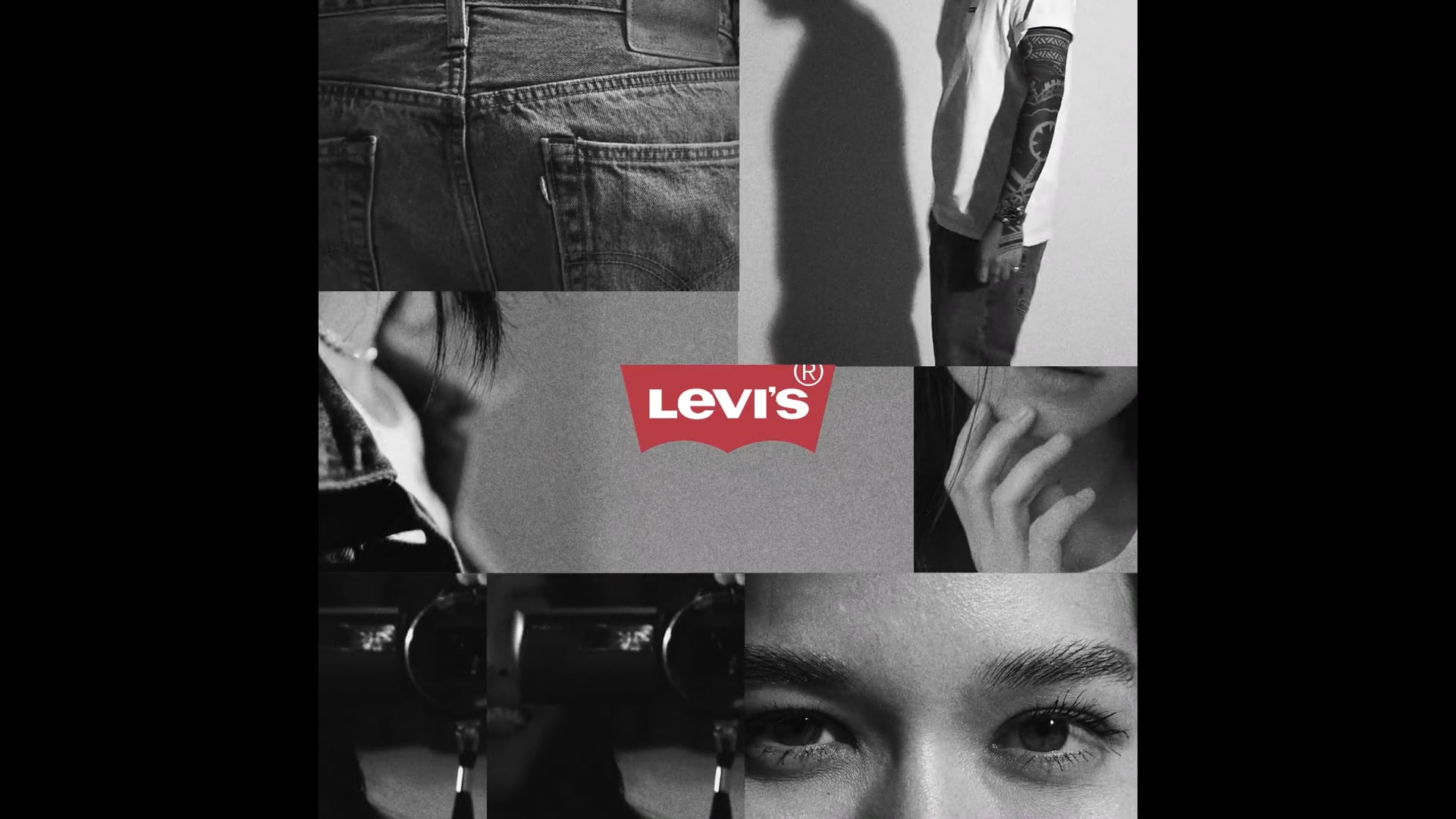Levi's 501 DAY