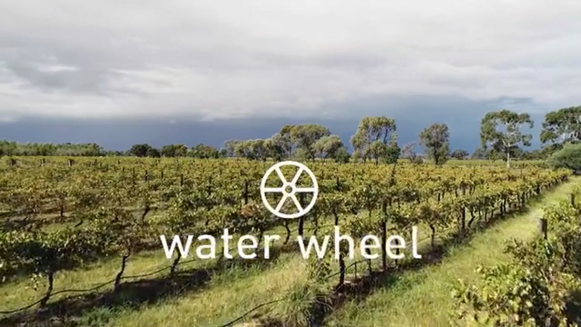 Water Wheel Winery