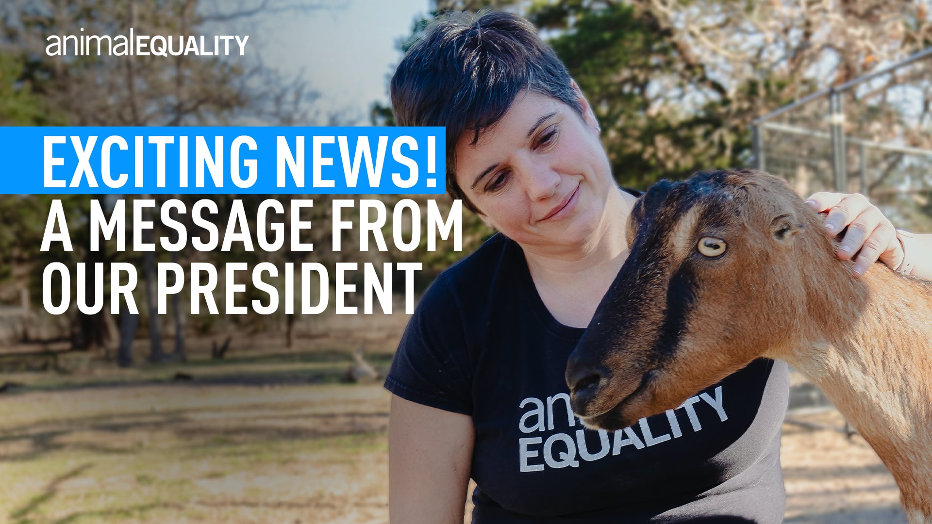 Sharon Núñez, President of Animal Equality – Matching Gift opportunity