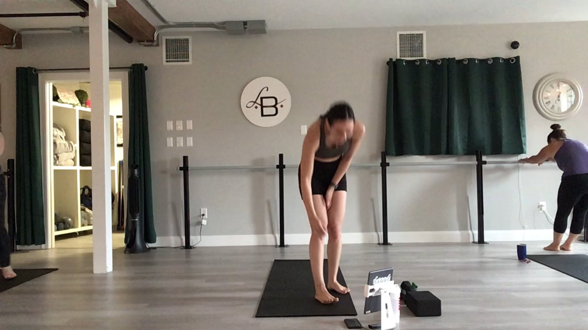 Barre Basics with Taylor 2