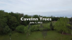 CaveInn Trees June 1, 2022.mp4